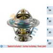 FAE 5301583 - Thermostat d'eau