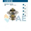 FAE 5301884 - Thermostat d'eau