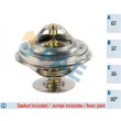 FAE 5302692 - Thermostat d'eau