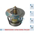 FAE 5302878 - Thermostat d'eau