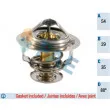 FAE 5303888 - Thermostat d'eau