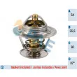 FAE 5303987 - Thermostat d'eau