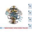 FAE 5304276 - Thermostat d'eau