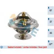 FAE 5304487 - Thermostat d'eau