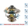 FAE 5305283 - Thermostat d'eau