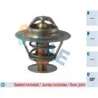 FAE 5305788 - Thermostat d'eau