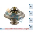 Thermostat d'eau FAE [5306879]