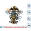 FAE 5306983 - Thermostat d'eau