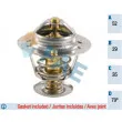 FAE 5307379 - Thermostat d'eau