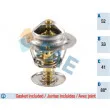 FAE 5307688 - Thermostat d'eau