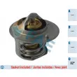 FAE 5310082 - Thermostat d'eau