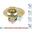 FAE 5320582 - Thermostat d'eau