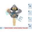 FAE 5323390 - Thermostat d'eau