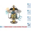 FAE 5324782 - Thermostat d'eau