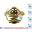 FAE 5342480 - Thermostat d'eau