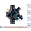 FAE 5348401 - Thermostat d'eau