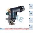 FAE 5348501 - Thermostat d'eau
