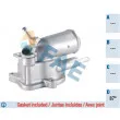 FAE 5349887 - Thermostat d'eau