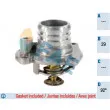 FAE 5350692 - Thermostat d'eau