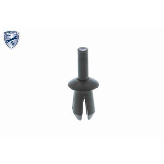 Rivet à expansion VAICO [V10-2023]