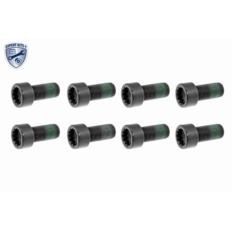 Boulon VAICO V10-2544 - Visuel 1