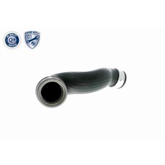 Gaine de suralimentation VAICO OEM 8D0145828J