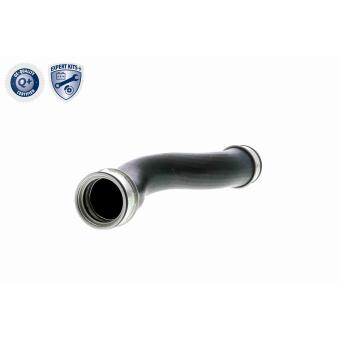 Gaine de suralimentation VAICO OEM 1K0145832B