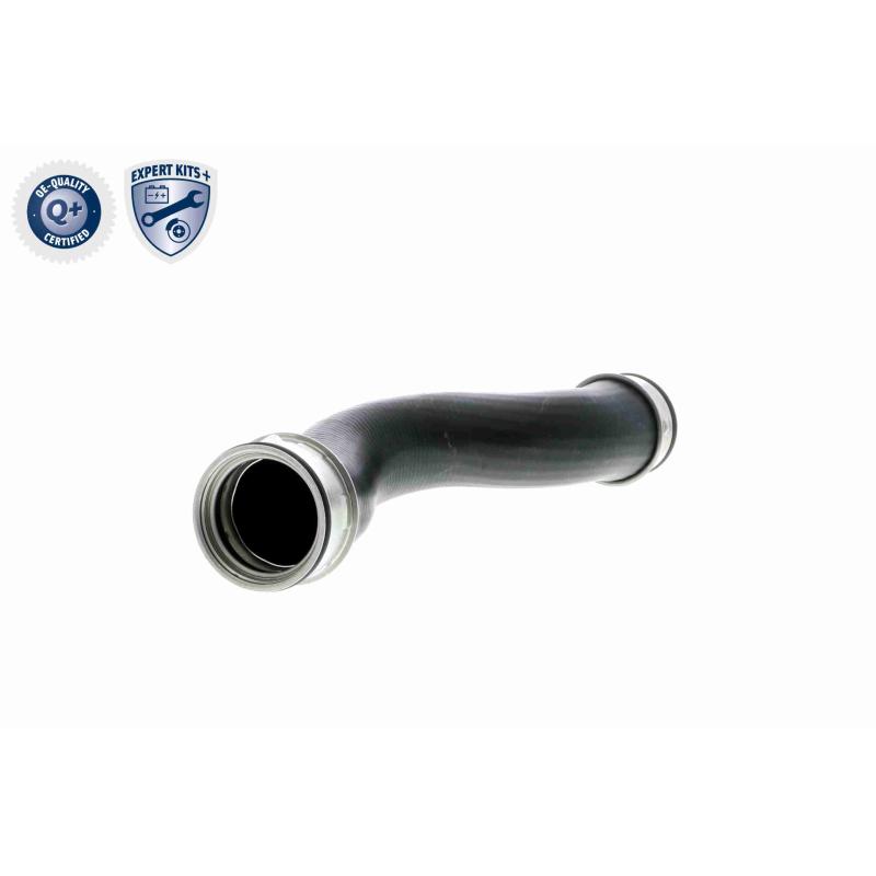 Gaine de suralimentation VAICO V10-2698 - Visuel 1