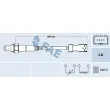 FAE 77590 - Sonde lambda