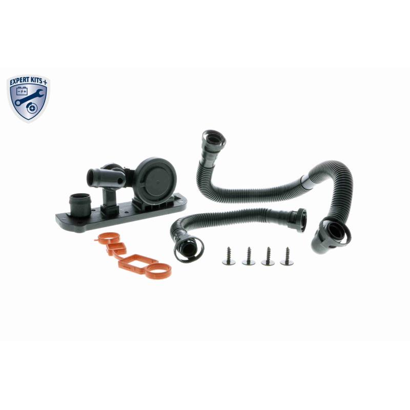 Kit de réparation, ventilation du carter-moteur VAICO V10-3246 - Visuel 1