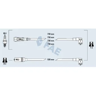 Kit de câbles d'allumage FAE OEM N10052809