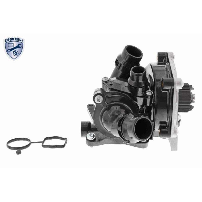 Kit pompe à eau VAICO V10-4919 - Visuel 1