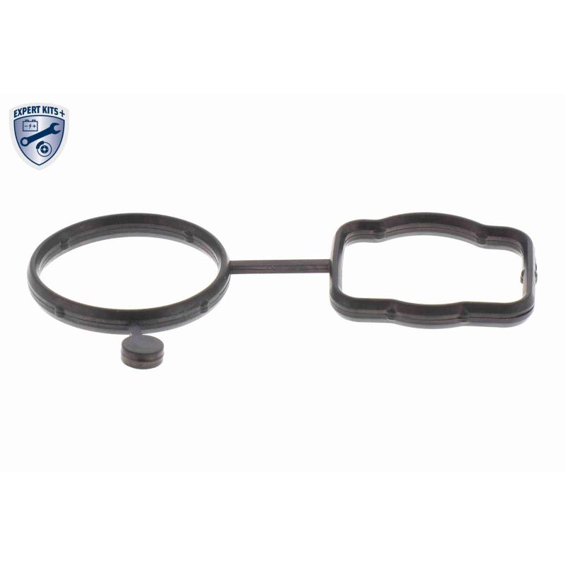 Kit pompe à eau VAICO V10-4919 - Visuel 2