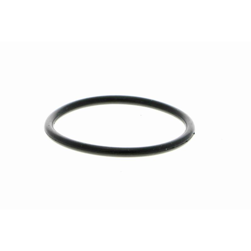 Pompe à eau VAICO V10-50014 - Visuel 2