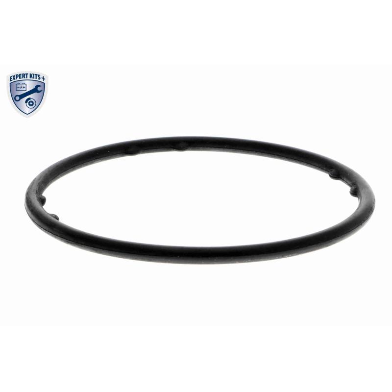 Pompe à eau VAICO V10-50103 - Visuel 2