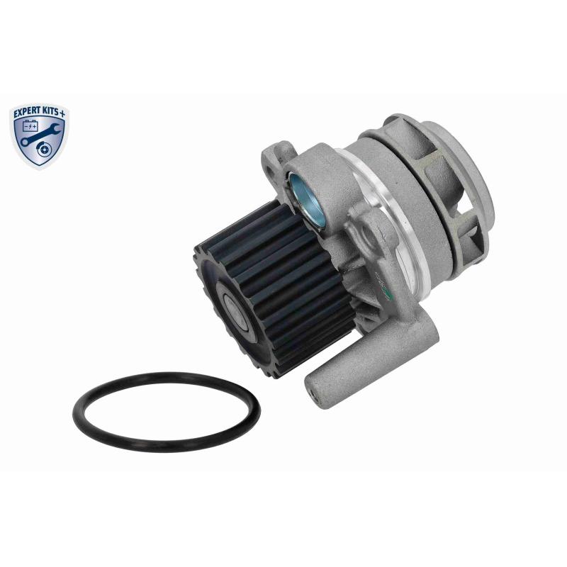 Pompe à eau + kit de courroie de distribution VAICO V10-50108-BEK - Visuel 1