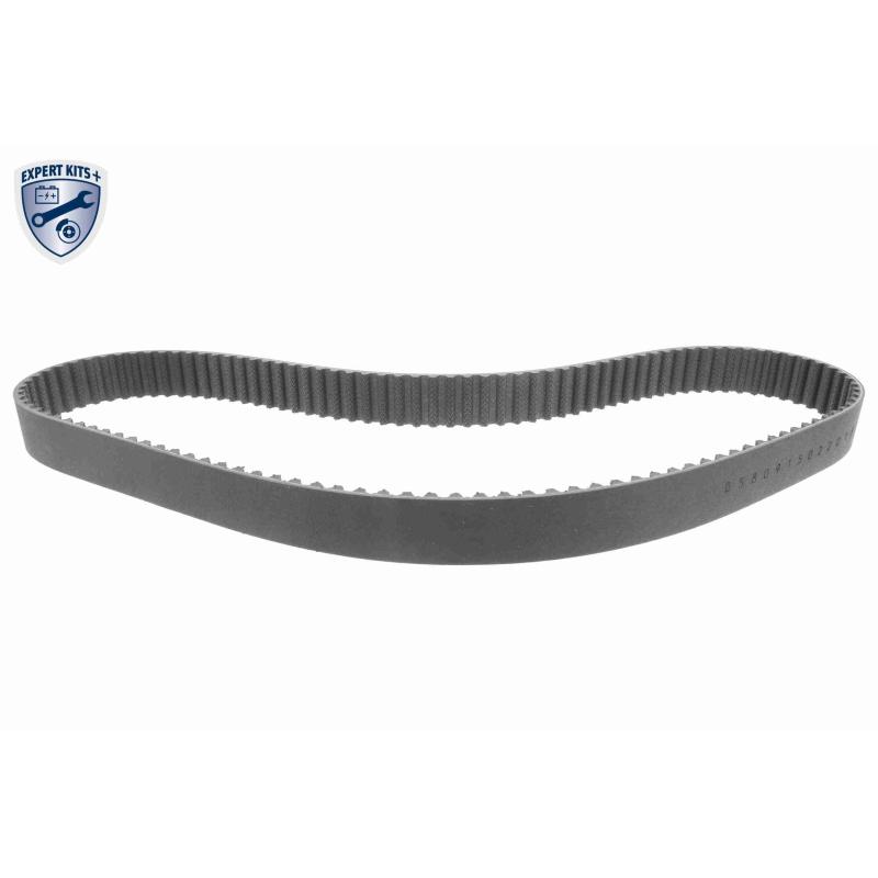 Pompe à eau + kit de courroie de distribution VAICO V10-50108-BEK - Visuel 2