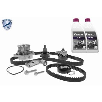 Pompe à eau + kit de courroie de distribution VAICO OEM 036121008MX