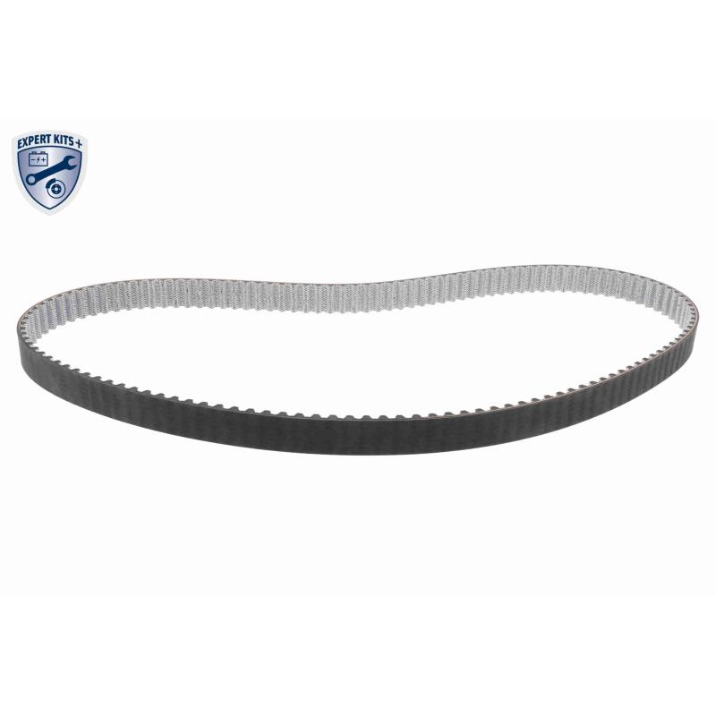 Pompe à eau + kit de courroie de distribution VAICO V10-50109-BEK - Visuel 2