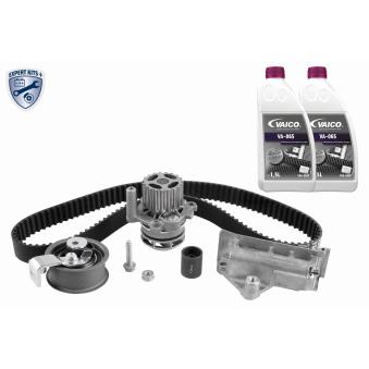 Pompe à eau + kit de courroie de distribution VAICO OEM 038109244N