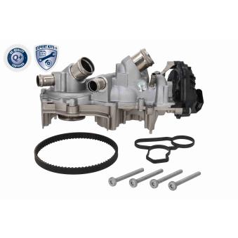 Pompe à eau + kit de courroie de distribution VAICO V10-50114