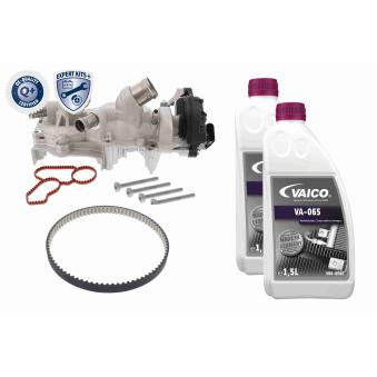 Pompe à eau + kit de courroie crantée VAICO V10-50114-XXL