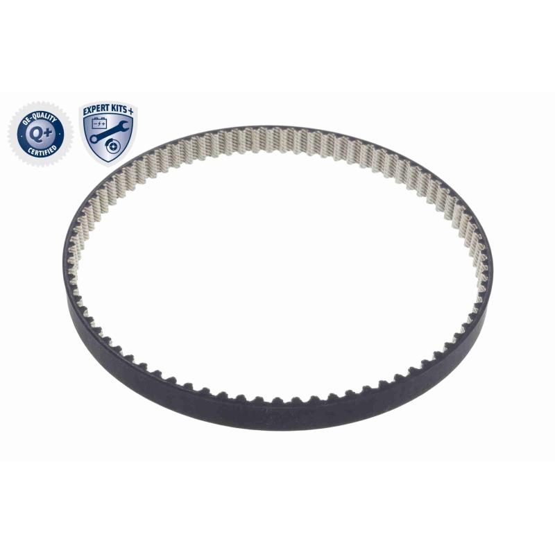 Pompe à eau + kit de courroie crantée VAICO V10-50114-XXL - Visuel 2