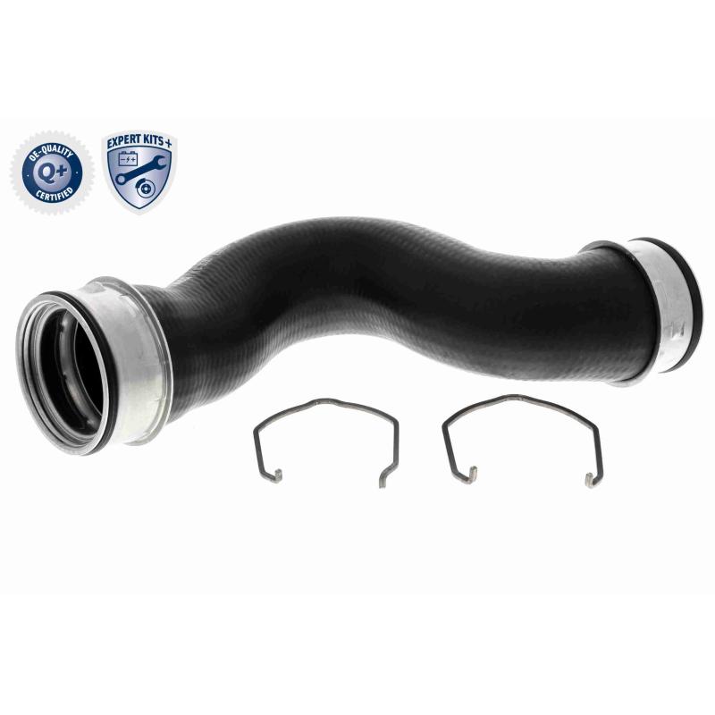 Gaine de suralimentation VAICO V10-5304 - Visuel 1