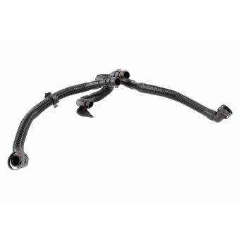 Tuyau, ventilation de carter-moteur VAICO V10-5458