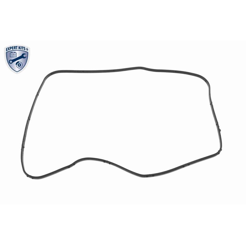 Kit pces, vidange d'huile de boîte de vitesses automatique VAICO V10-5582-BEK - Visuel 2