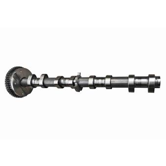 Dispositif de réglage électrique d'arbre à cames VAICO OEM 06H109021K Dispositif de réglage électrique d'arbre à cames VAICO OEM 06H109021K