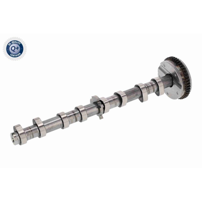 Dispositif de réglage électrique d'arbre à cames VAICO V10-5585 - Visuel 2