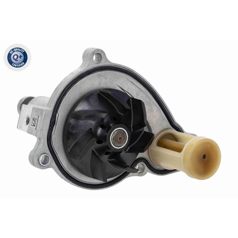 Pompe à eau, refroidissement du moteur VAICO V20-50071 - Visuel 2