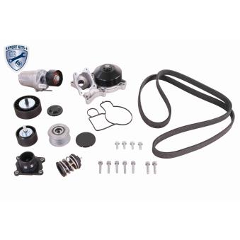 Pompe à eau + kit de courroie de distribution VAICO V20-50100-BEK